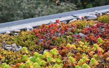 the cost of Sidmouth green roof installation