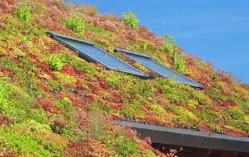 Sidmouth living roof systems
